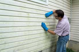 Affordable Siding Repair and Maintenance Services in Savannah, MO